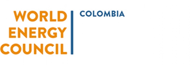 consejo mundial de energía colombia